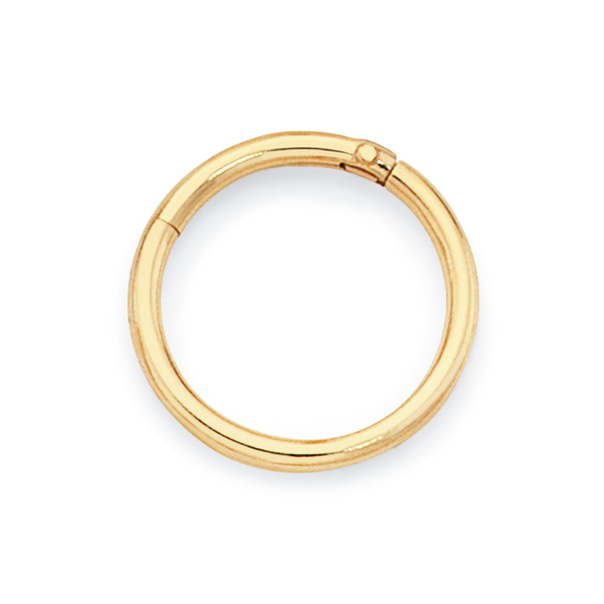 9ct Gold 1x10mm Segment Nose Ring