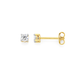 9ct Gold Cubic Zirconia Stud Earrings