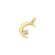 9ct Gold Two Tone Crescent Moon Pendant