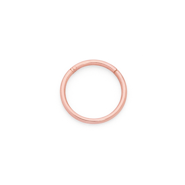 9ct Rose Gold 1x10mm Segment Nose Ring
