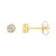 9ct Two Tone Gold Diamond Bezel Set Stud Earrings